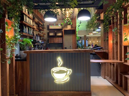 عکس پیتزا شلمان