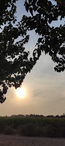 عکس قاسم آباد بزرگ