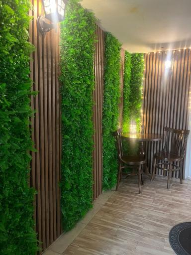 عکس آتلیه گلین