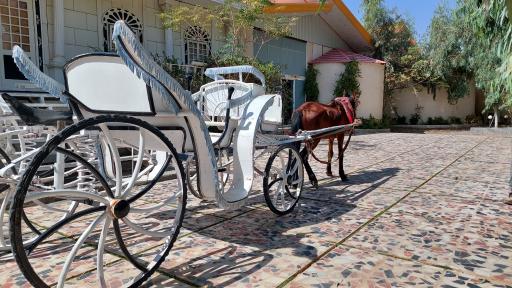 عکس باغ تالار حافظ