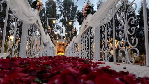 عکس باغ تالار حافظ