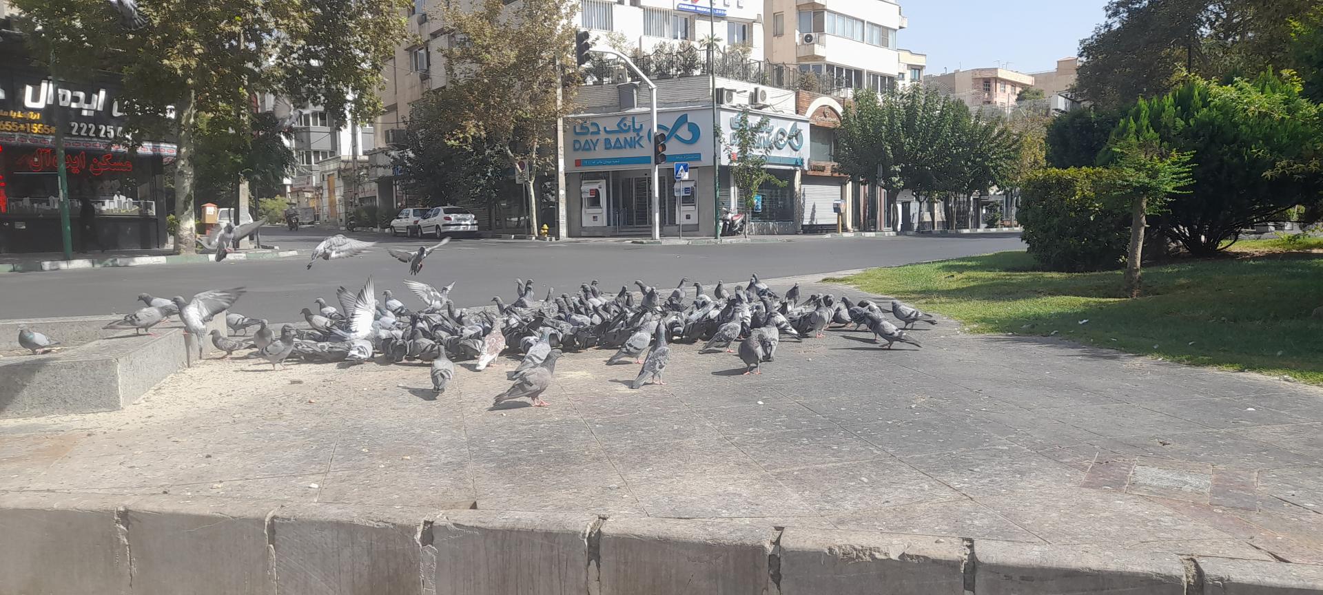 عکس میدان مادر