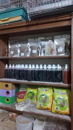 عکس کلبه ابابیل