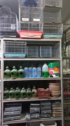 عکس کلبه ابابیل