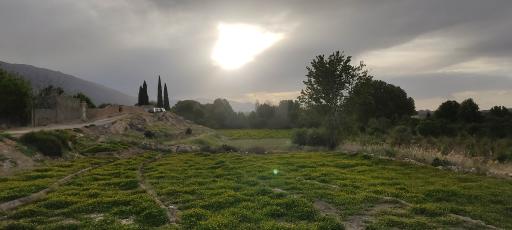 عکس برایجان