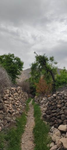 عکس برایجان