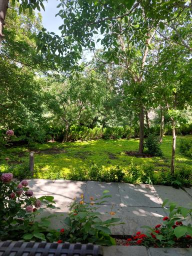 عکس رستوران بام هراز