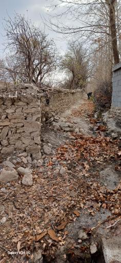 عکس برایجان