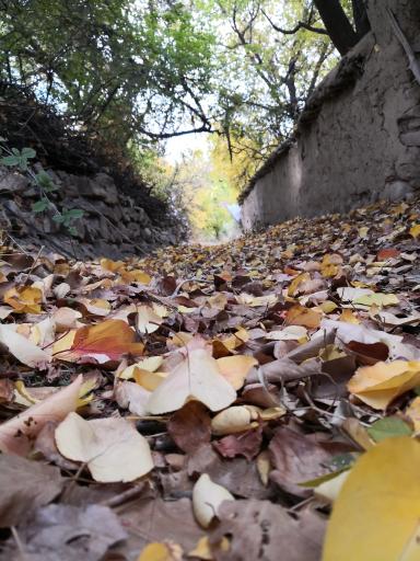 عکس برایجان