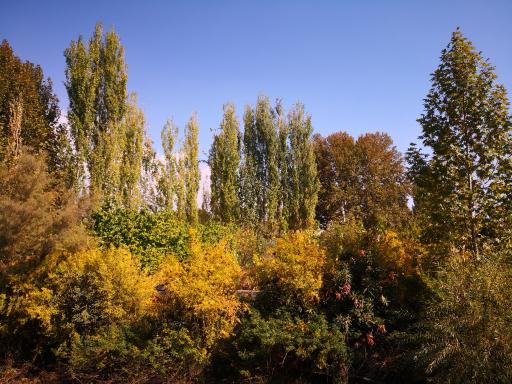 عکس برایجان
