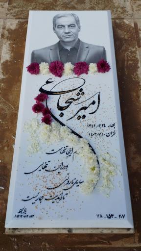عکس مزار امیر شجاعی