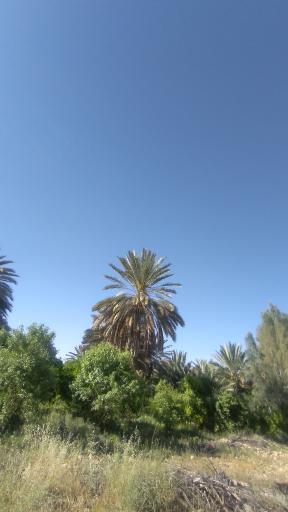 عکس برایجان