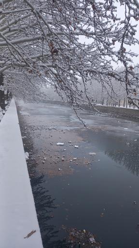 عکس گدارچای