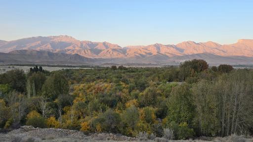 عکس برایجان