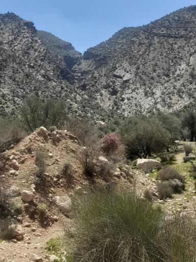 عکس برایجان