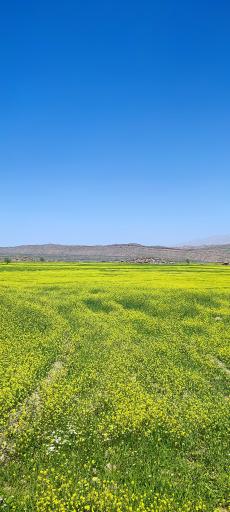 برایجان