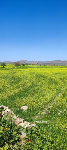 عکس برایجان