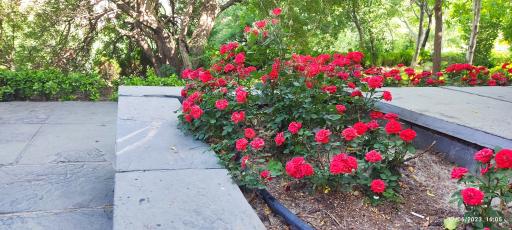 عکس رستوران بام هراز