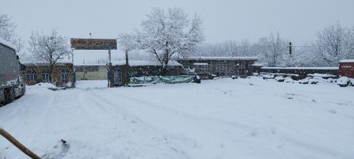 عکس شرکت حمل و نقل باربری حافظ