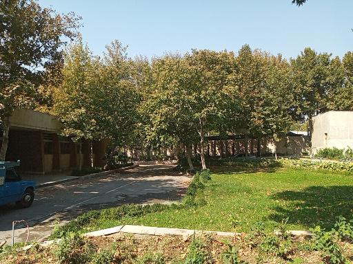 عکس شرکت پلیکان