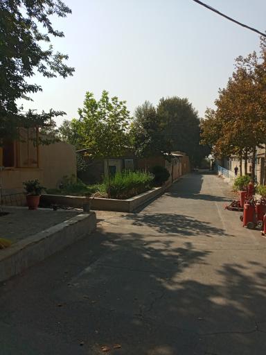 عکس شرکت پلیکان