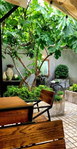 عکس کافه کتاب خانه اکنون