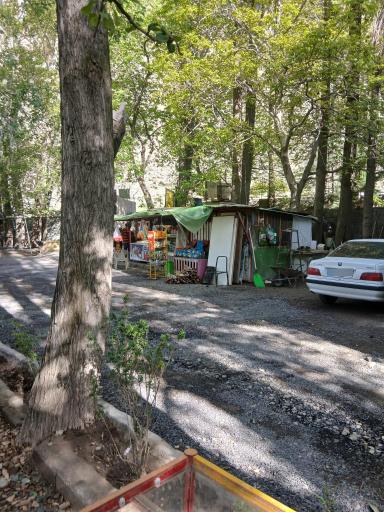 عکس سوپر خوش‌یمن