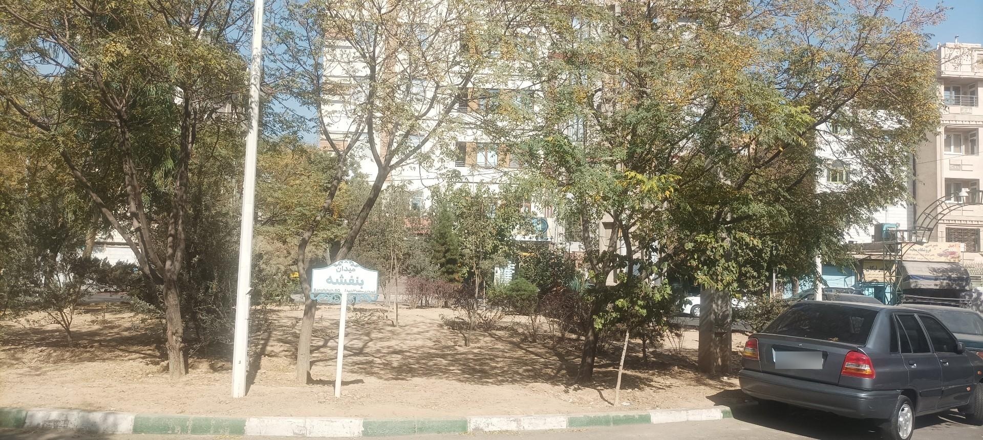 عکس میدان بنفشه 