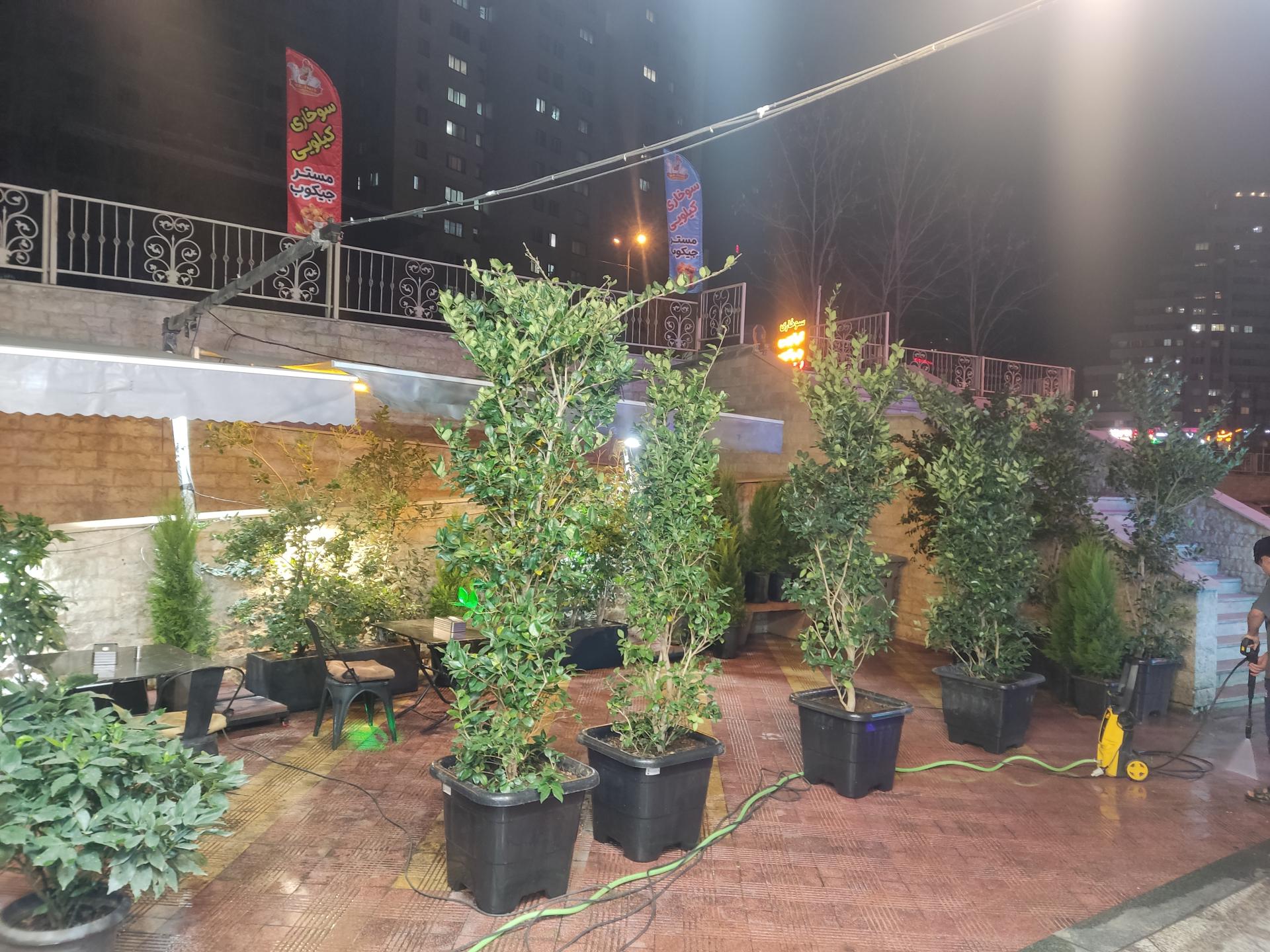 عکس سوخاری کیلویی جیکوب