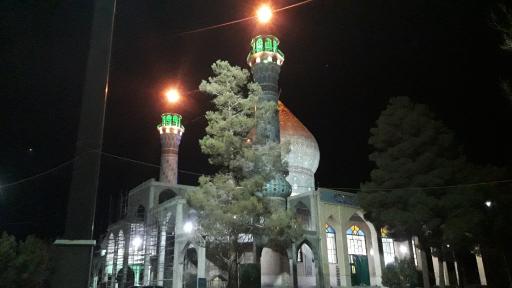 زائر سرای امامزادگان احمد و جعفر