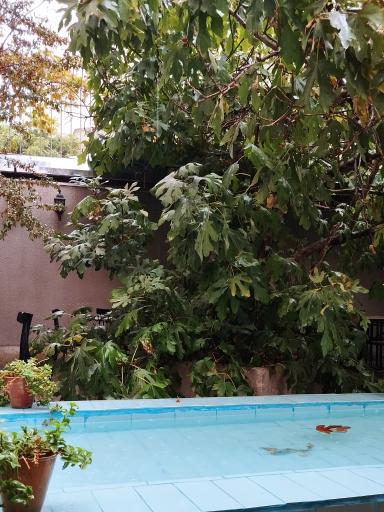 عکس کافه کتاب خانه اکنون