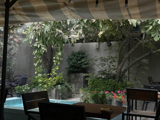 عکس کافه کتاب خانه اکنون