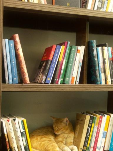 عکس کافه کتاب خانه اکنون