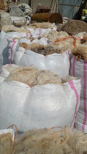 عکس کارگاه حلاجی و فروش پشم شسته 
