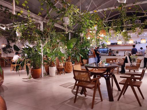 عکس کافه فیکا