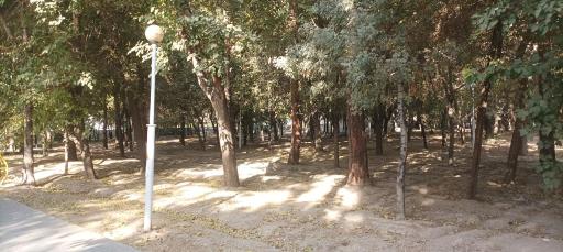 بوستان شهید رجایی