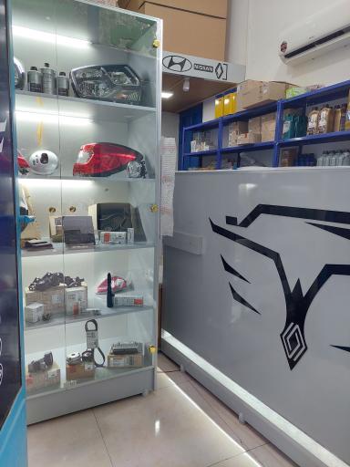 عکس سیمرغ یدک