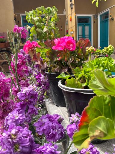 عکس اقامتگاه سنتی سراچه مادرجون 