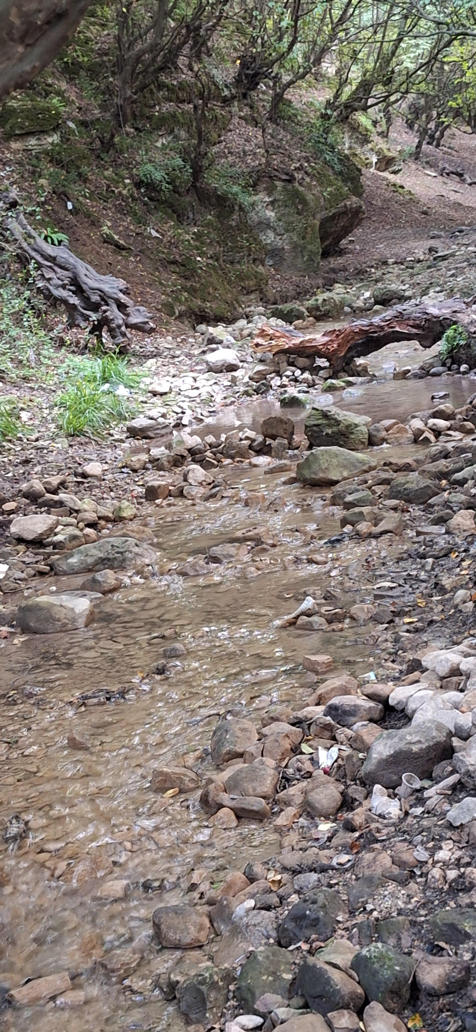 عکس چشمه کوهستان