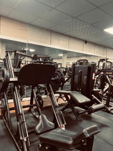 عکس باشگاه زنانه سورن