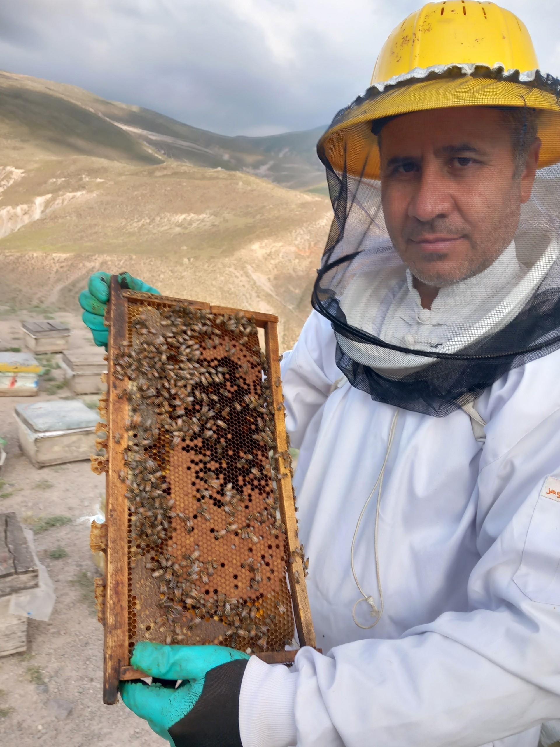 عکس عسل نصیری 