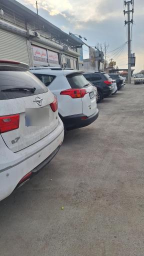 عکس صافکاری تخصصی مصطفی مصلحی