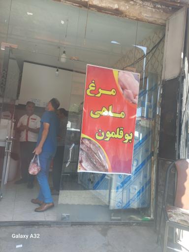 عکس مرغ و ماهی آشنا 