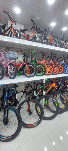عکس فروشگاه دوچرخه سایکل لند