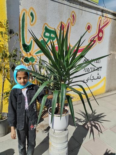 عکس نمایشگاه گل و گیاه هویا 