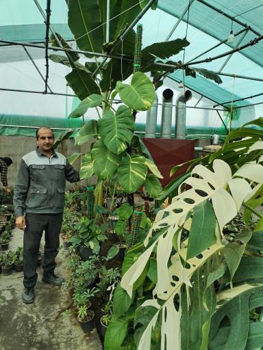 عکس نمایشگاه گل و گیاه هویا 