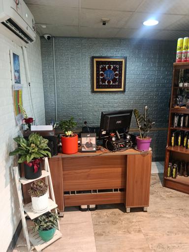 کارواش مایسا