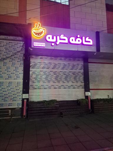 عکس کافه گربه