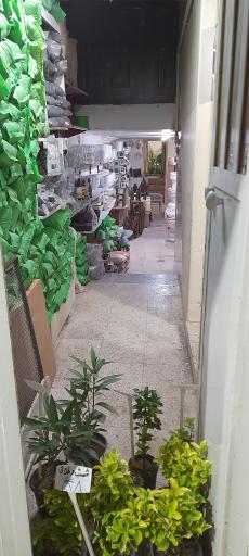 عکس گل فروشی