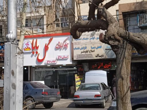 عکس چلو کبابی گل بابا